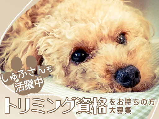 ペットはうす あるポカのアルバイト情報