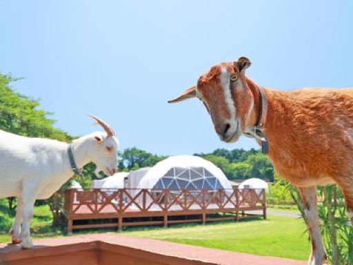 群馬県のキャンプの中古が安い！激安で譲ります・無料であげます 