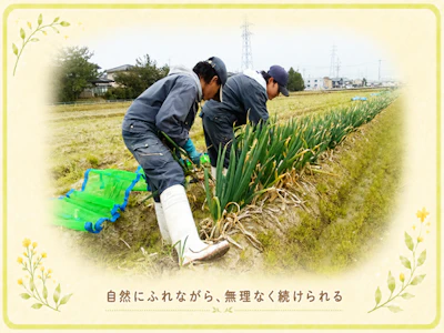 職場の画像