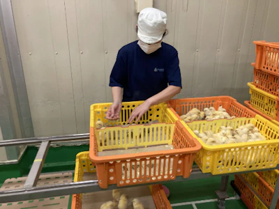職場の画像