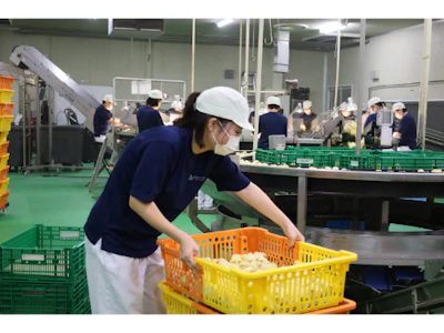 日本レイヤー株式会社
