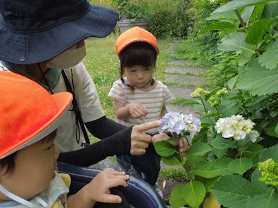 ぬくもりのおうち　ママサポート保育 江坂園の求人画像