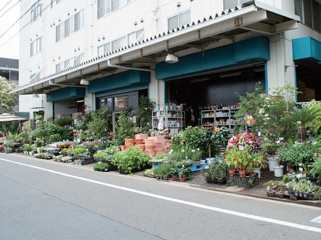 主婦 夫 活躍 ユー花園 フラワーショップ所属 代々木店舗での勤務 参宮橋駅 のパート アルバイト求人情報 しゅふｊｏｂ No 1251